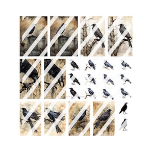 May include: A digital collage sheet featuring black crows and ravens in various poses, some perched on branches, others in flight. The background is a vintage-style paper with a faded, distressed look. The sheet is ideal for scrapbooking, card making, and other paper crafts.
