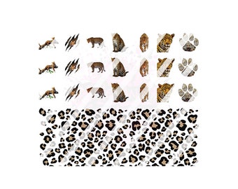 Decalcomanie per nail art con ghepardo leopardato - Decalcomanie per unghie con acquascivolo