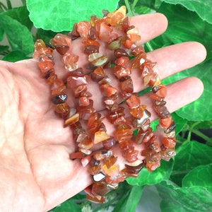 May include: A strand of carnelian chip beads in shades of red, orange, and brown. The beads are irregular in shape and size, and they are strung on a clear elastic cord.