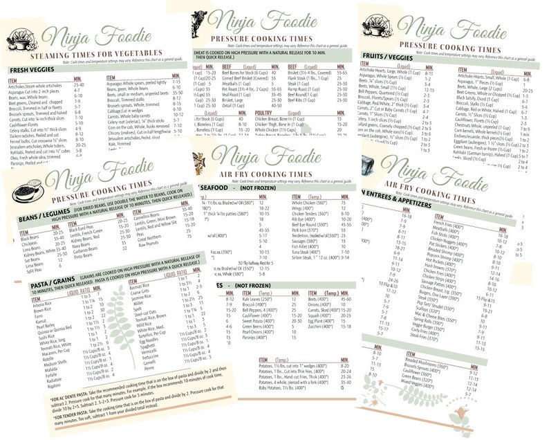 Ultimate Ninja Foodie Air Fryer and Pressurecooking Times Chart