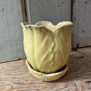 May include: A pale yellow ceramic planter with a matching saucer. The planter is shaped like a tulip, with textured, petal-like details. The saucer is round with a slightly raised edge. The planter sits on a wooden surface.