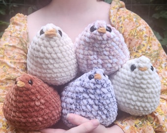 May include: A collection of five handmade crochet bird plushies in various colors. The birds are round with textured bodies, black eyes, and orange beaks. Colors include cream, pink, white, brown, and blue. The plushies are held in a person's hands.