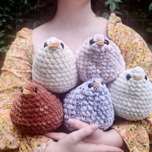 Feathers- A Cutesy Crochet Chicken