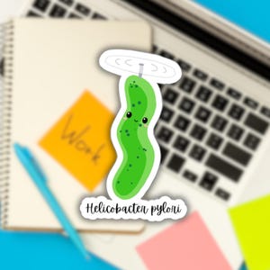 Pode incluir: Um picles de desenho animado verde com uma cara fofa e uma pequena hélice branca no topo. O texto "Helicobacter pylori" está escrito abaixo do picles.