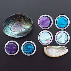 May include: A collection of six iridescent abalone shell buttons in various shades of blue and purple. The buttons are arranged in a circle around a larger abalone shell.