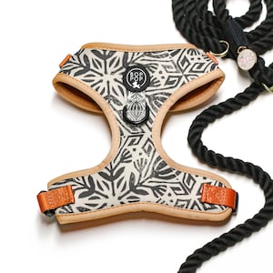 Boho Moroccan Style Dog Harness | Soft Comfort Fit | TIERRA LUNA print