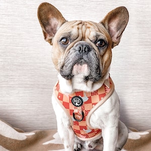 Rust Brick Tan Desert Style Boho Checkerboard Dog Harness | Soft Comfort Fit | JACOB print