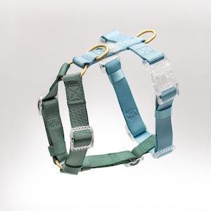 May include: A blue and green dog harness with clear plastic buckles and gold metal rings.