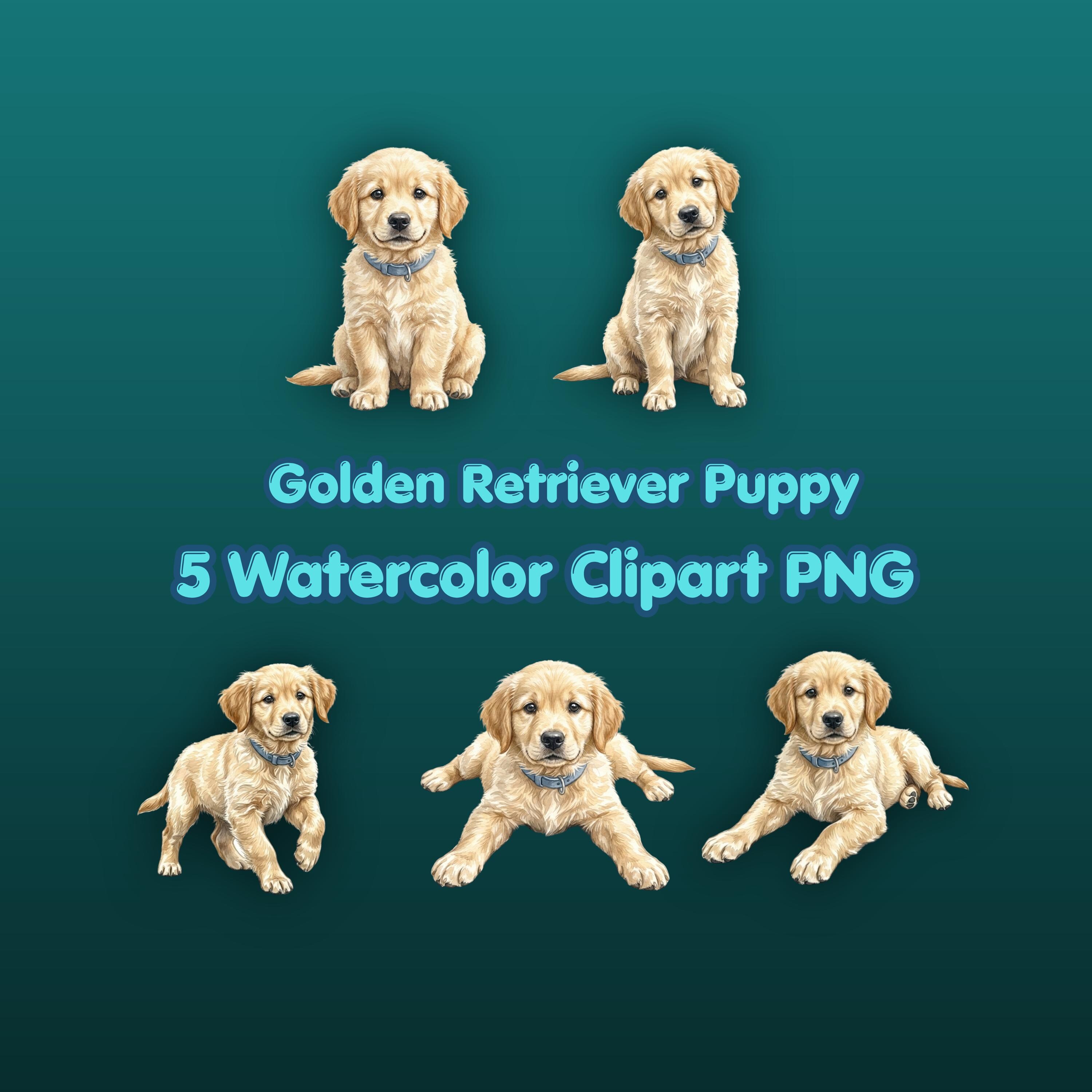 Golden Retriever Puppy PNG Clipart Watercolor Dog Illustration Pet ...