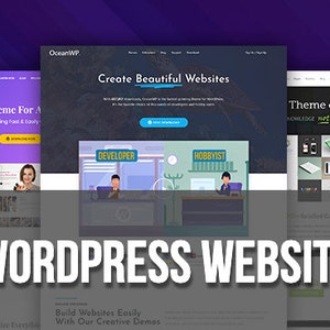 Custom wordpress website design, wordpress website, wordpress blog website, ecommerce website, website design, website designer, WordPress