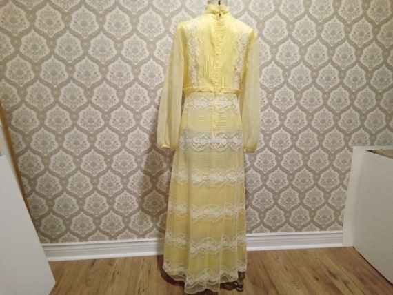 Vintage 1960/70 Long Lacey Event Dress - image 3