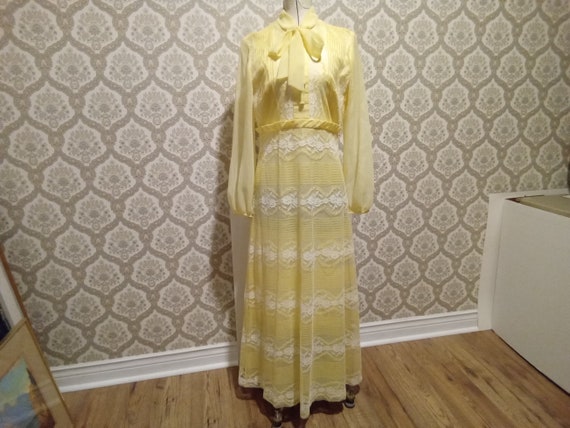 Vintage 1960/70 Long Lacey Event Dress - image 1