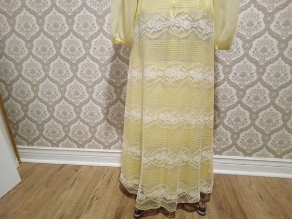 Vintage 1960/70 Long Lacey Event Dress - image 6