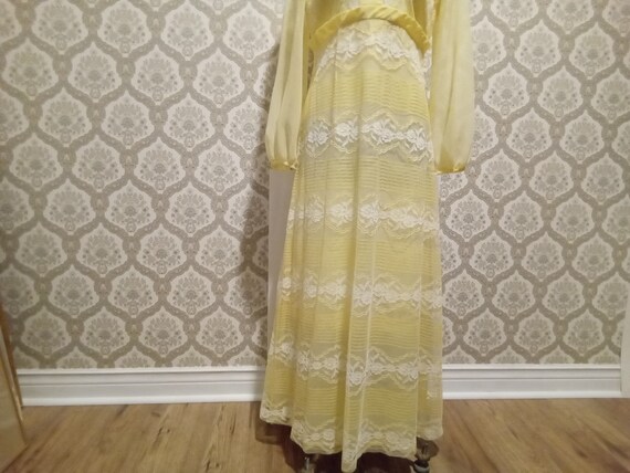 Vintage 1960/70 Long Lacey Event Dress - image 5