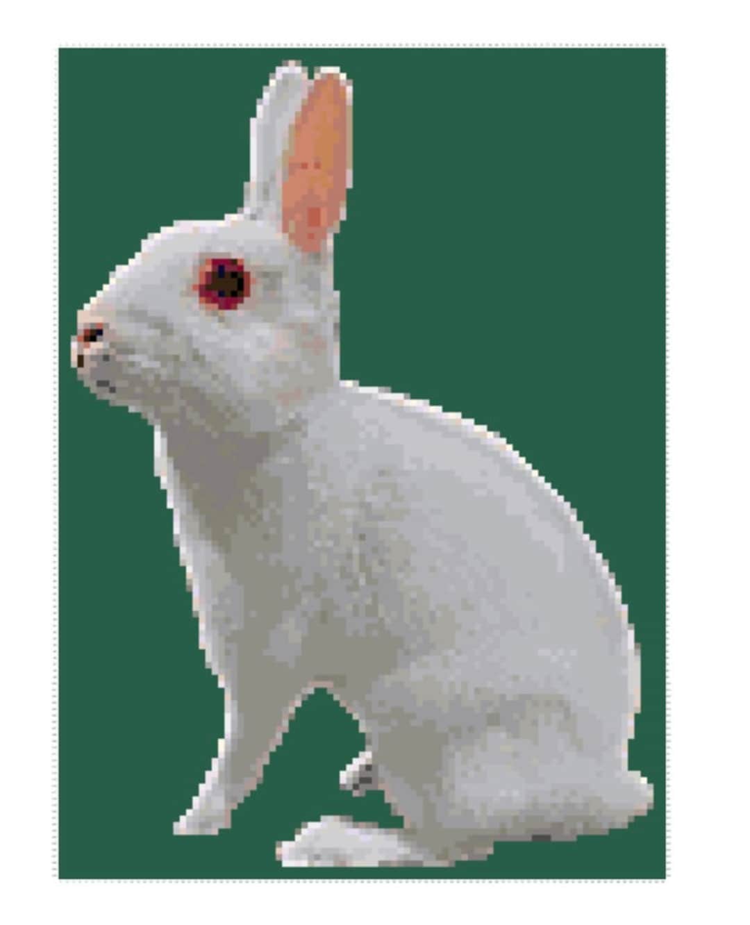 Britannia Petite Rabbit Cross Stitch Graph - Etsy