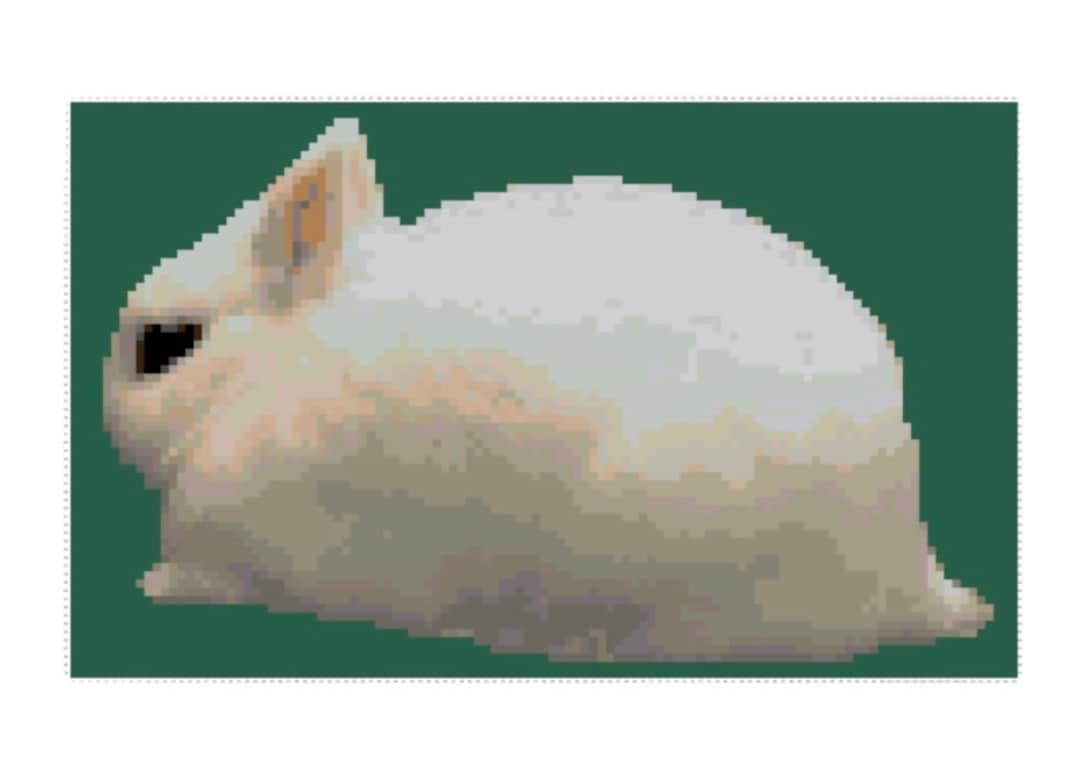 Dwarf Hotot Rabbit Cross Stitch Graph - Etsy