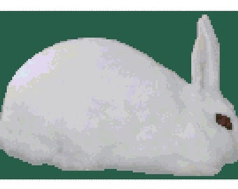Blanc de Hotot Rabbit Cross Stitch Graph