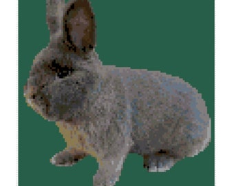 Blue Holicer Rabbit Cross Stitch Graph