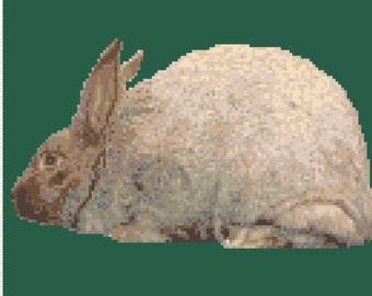 Argent Brun Rabbit Cross Stitch Graph