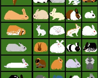 52 Breeds of Rabbit Blanket Crochet Graph