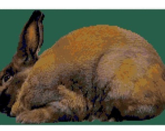 Cinnamon Rabbit Cross Stitch Graph