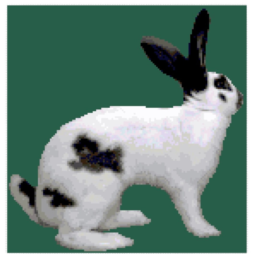 Checkered Giant Rabbit Cross Stitch Graph - Etsy