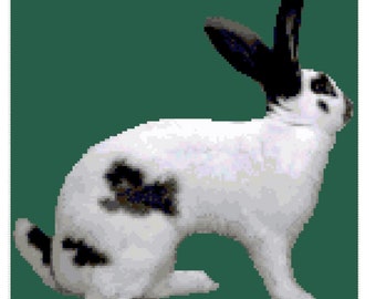 Checkered Giant Rabbit Cross Stitch Graph