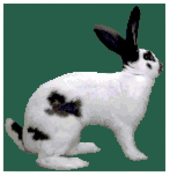 Checkered Giant Rabbit Cross Stitch Graph