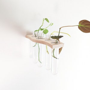 Handmade Wavy Wood Propagation Station: Modern Plant Wall Shelf