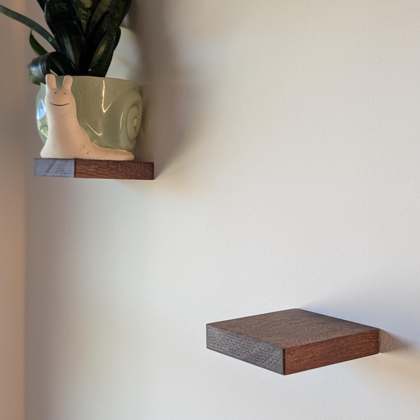Minimalist Walnut/ Maple Floating Shelf: 4x4 Square Wall Plant Holder