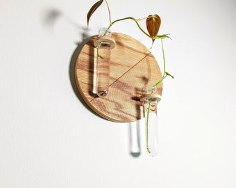 Handmade Plant Propagation Station: Modern Wall Shelf with Test Tubes