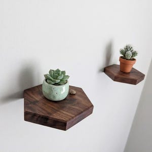 May include: Two hexagonal wooden shelves with plants. One shelf holds a small succulent in a light green pot, and the other holds a cactus in a terracotta pot. The shelves are made of dark wood and mounted on a white wall.