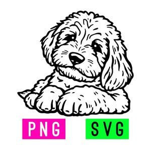 Goldendoodle-puppy SVG + PNG | ArtPush