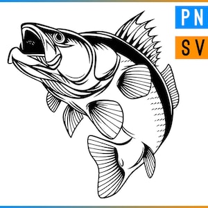 Zander SVG + PNG | ArtPush