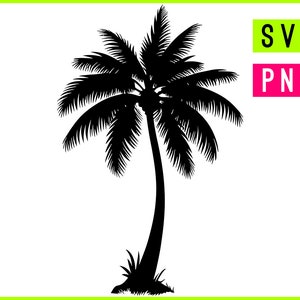 Puede incluir: Silueta negra de una palmera con un solo tronco y frondosas hojas.