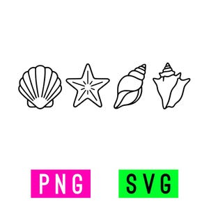 Puede incluir: Dibujos lineales en blanco y negro de una concha, una estrella de mar y dos conchas diferentes. Las palabras "PNG" y "SVG" se muestran en rectángulos rosa y verde.