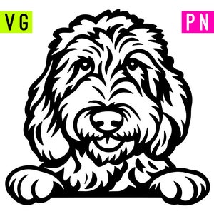 Goldendoodle SVG + PNG | ArtPush