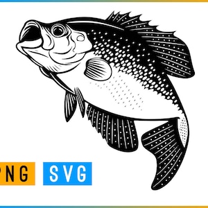Crappie Fish SVG + PNG | ArtPush