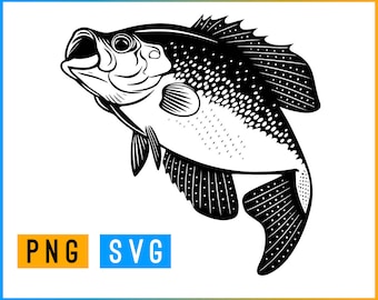 Crappie Fish SVG + PNG | ArtPush