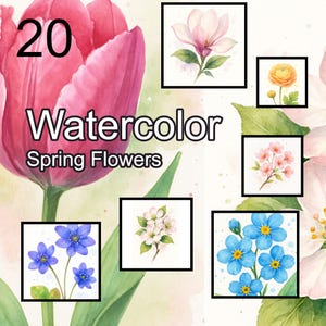 Aquarelles Fleurs de Printemps - Collection de 20 Illustrations en PDF