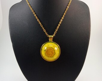 May include: A gold chain necklace with a round pendant featuring a yellow flower pressed inside clear resin.
