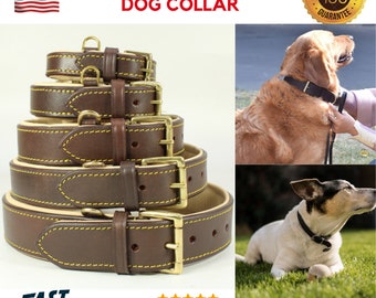 Dog Collar in Genuine Leather with Brass Buckle, Leather Dog Collar, Leather Padded Collar, Pet Collar, Puppy Collar for Small to Large Dogs