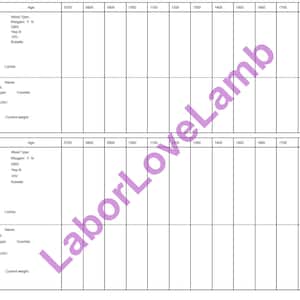 Postpartum/Mother Baby hourly report sheet Nurse &quot;brain&quot; 1800/6 PM 12 hour shift