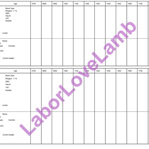 May include: A blank chart with headings for room number, name, age, support, provider, blood type, GTPAL, allergies, delivery type, date/time, GEL, lac, MMR, PE, TDAP, fundus, Foley/voids, baby boy/girl, GA, name, APGARs, ped, breast bottle, blood type, Coombs, PKU, bili, hearing, CCHD, Hep B, Vit K, eyes, birth weight, current weight, void, stool, circ. The chart is divided into columns for each time interval from 0700 to 1900.