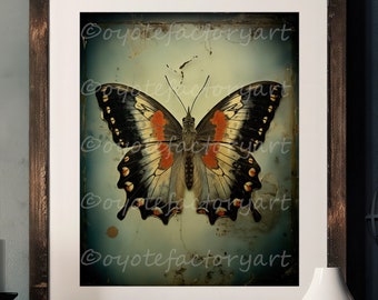 May include: A vintage-style print of a butterfly with black, orange, and white wings. The butterfly is set against a textured, blue background.