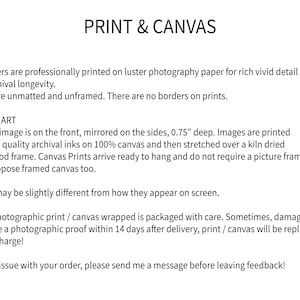 Pu&ograve; includere: Sfondo bianco con il testo "PRINT & CANVAS". Il testo descrive l'arte su carta e su tela, inclusi i dettagli sulla carta, gli inchiostri d'archivio e le stampe su tela. Si menziona anche che i colori possono variare leggermente.