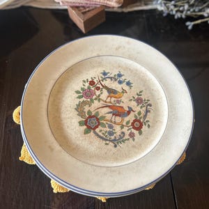 Vintage Bird Plates by W.S. George, Set of 3 Floral Design