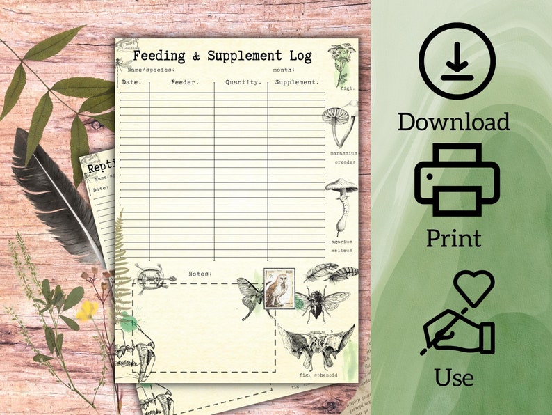 Reptile Feeding Tracker Printable Pet Food Planner Feeding Etsy