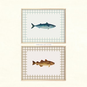 Pode incluir: Duas impressões em aquarela emolduradas com peixes. A impressão superior mostra uma cavala azul e prateada em um fundo xadrez vichy azul claro. A impressão inferior exibe um bacalhau marrom em um fundo xadrez vichy bege. Ambas estão em molduras douradas.