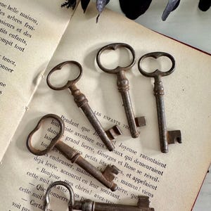 May include: Five antique skeleton keys with ornate handles are arranged on the open pages of a vintage book. The keys are made of aged metal, showing signs of wear. The book's pages are yellowed, with French text.